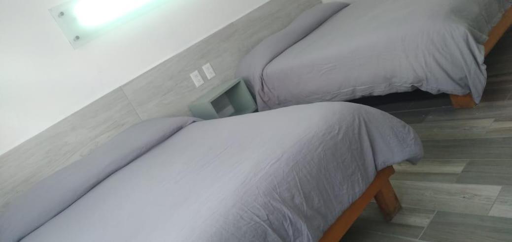 Hotel Insurgentes San Luis Potosi Luaran gambar