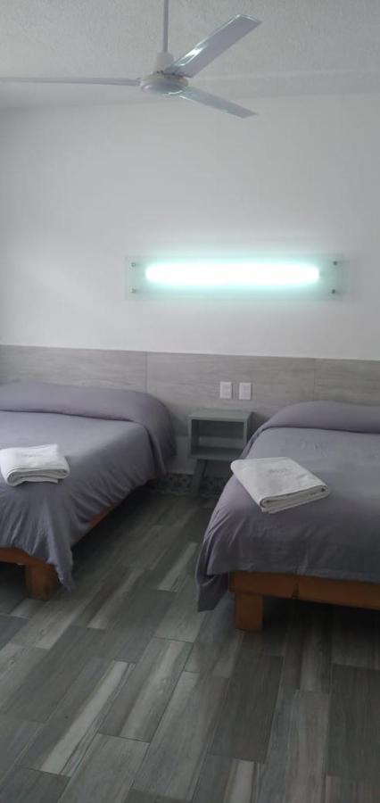 Hotel Insurgentes San Luis Potosi Luaran gambar